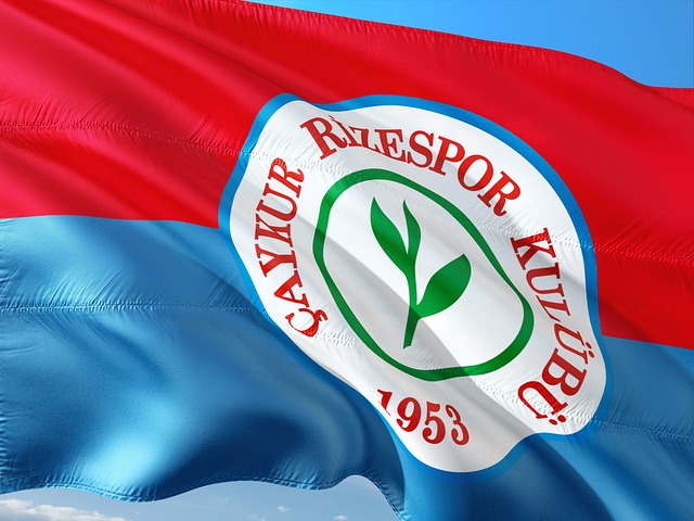 迷充满期待 迷充满期待