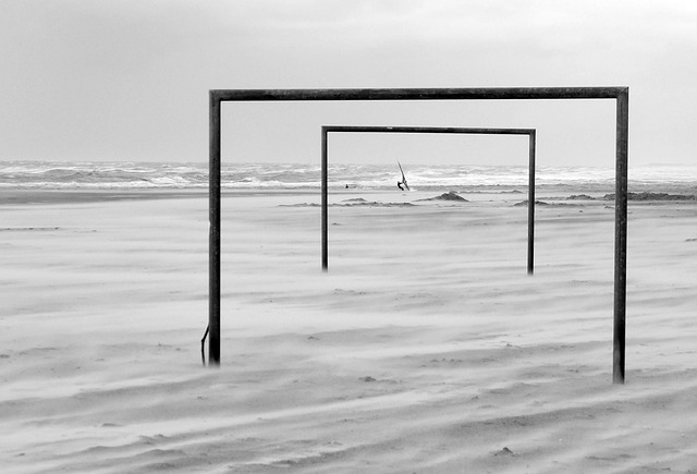 真实的写照 真实的写照