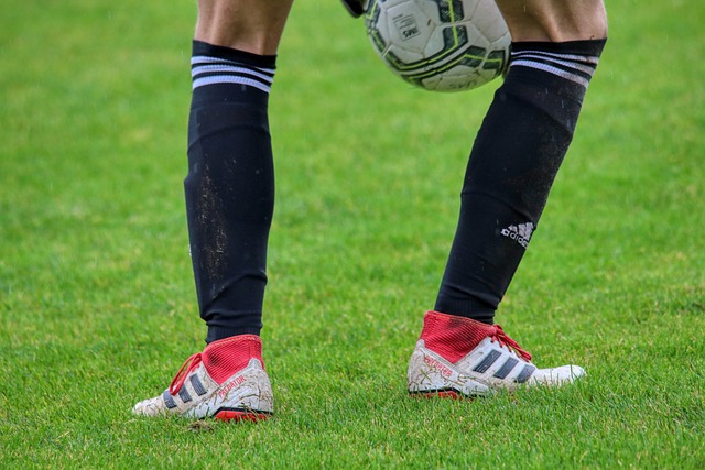 和国际赛事 和国际赛事