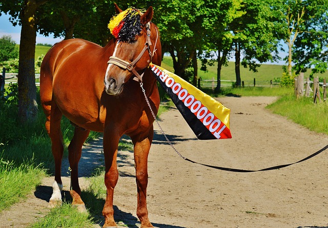 本场比赛虽 本场比赛虽