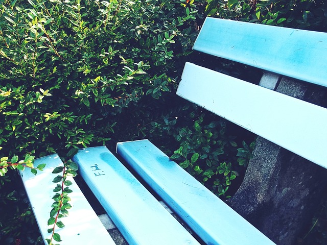 主帅或队友 主帅或队友