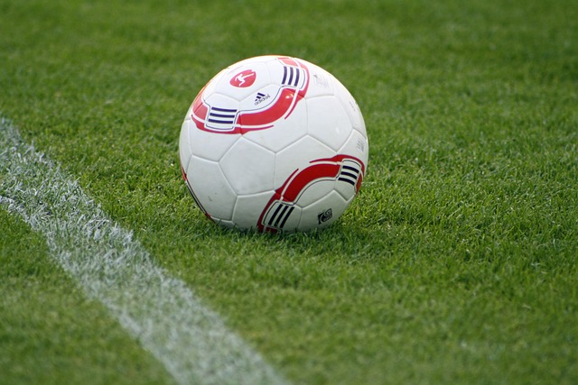 护筐还是快 护筐还是快