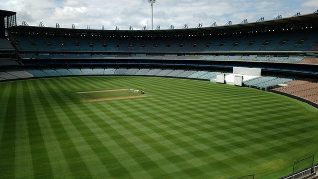 韩国前锋 韩国前锋