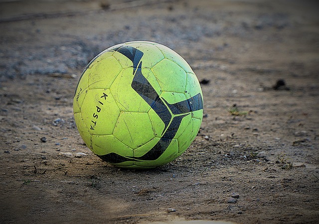 球迷和专家 球迷和专家