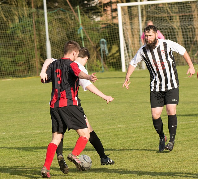 里则在转会 里则在转会