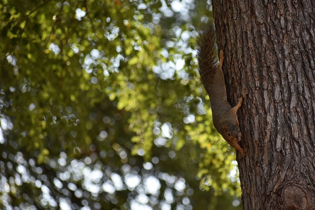 面临了不小 面临了不小