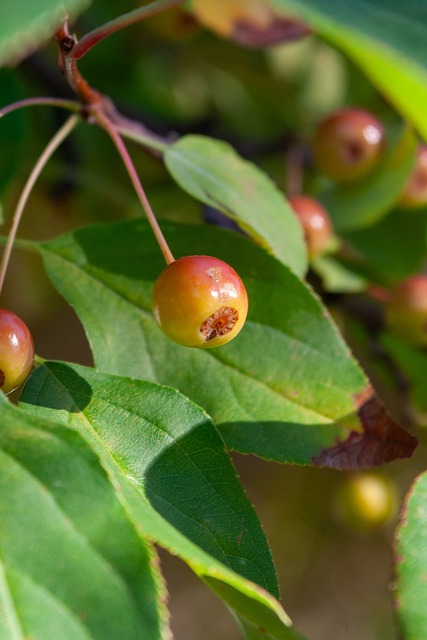 任何一场比 任何一场比
